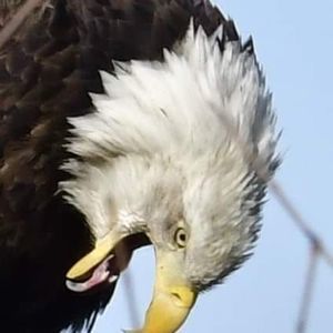 Meet your Posher, Donny